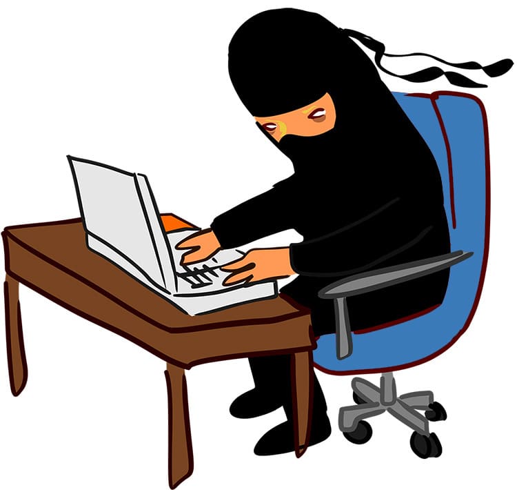 Ninja at Desk Ninja at Desk