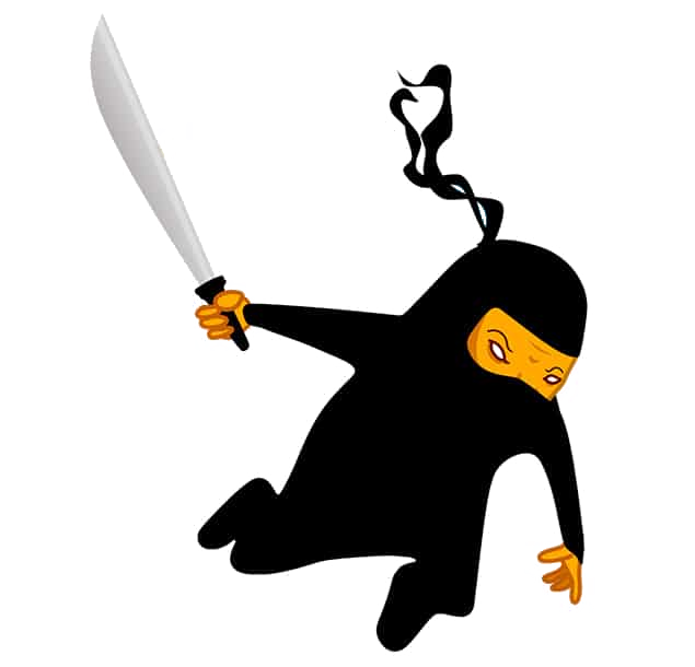 NInja-Jumping-No-House-Small NInja-Jumping-No-House-Small